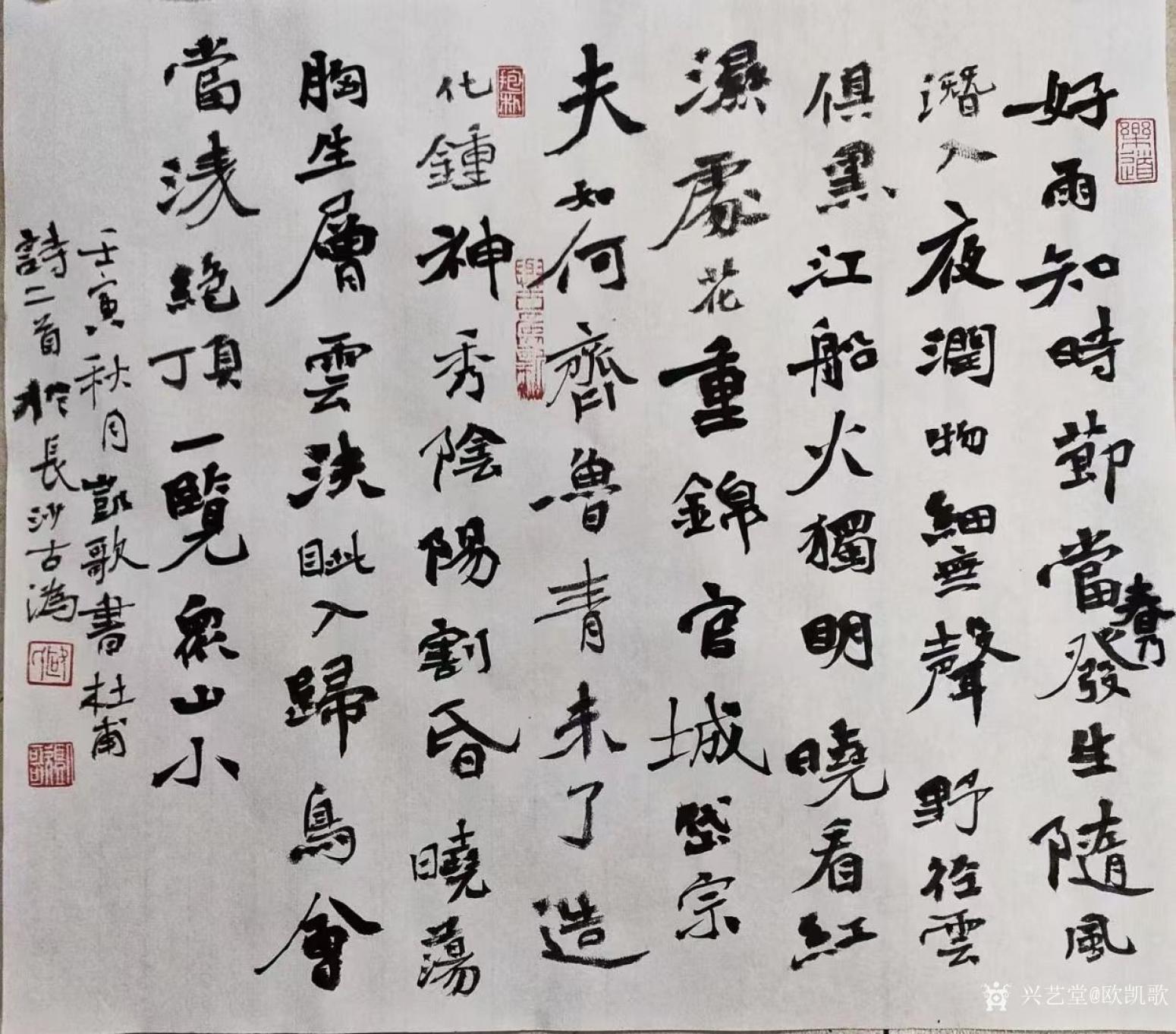 歐凱歌書法作品《丑書錄杜甫春夜喜雨》【圖0】