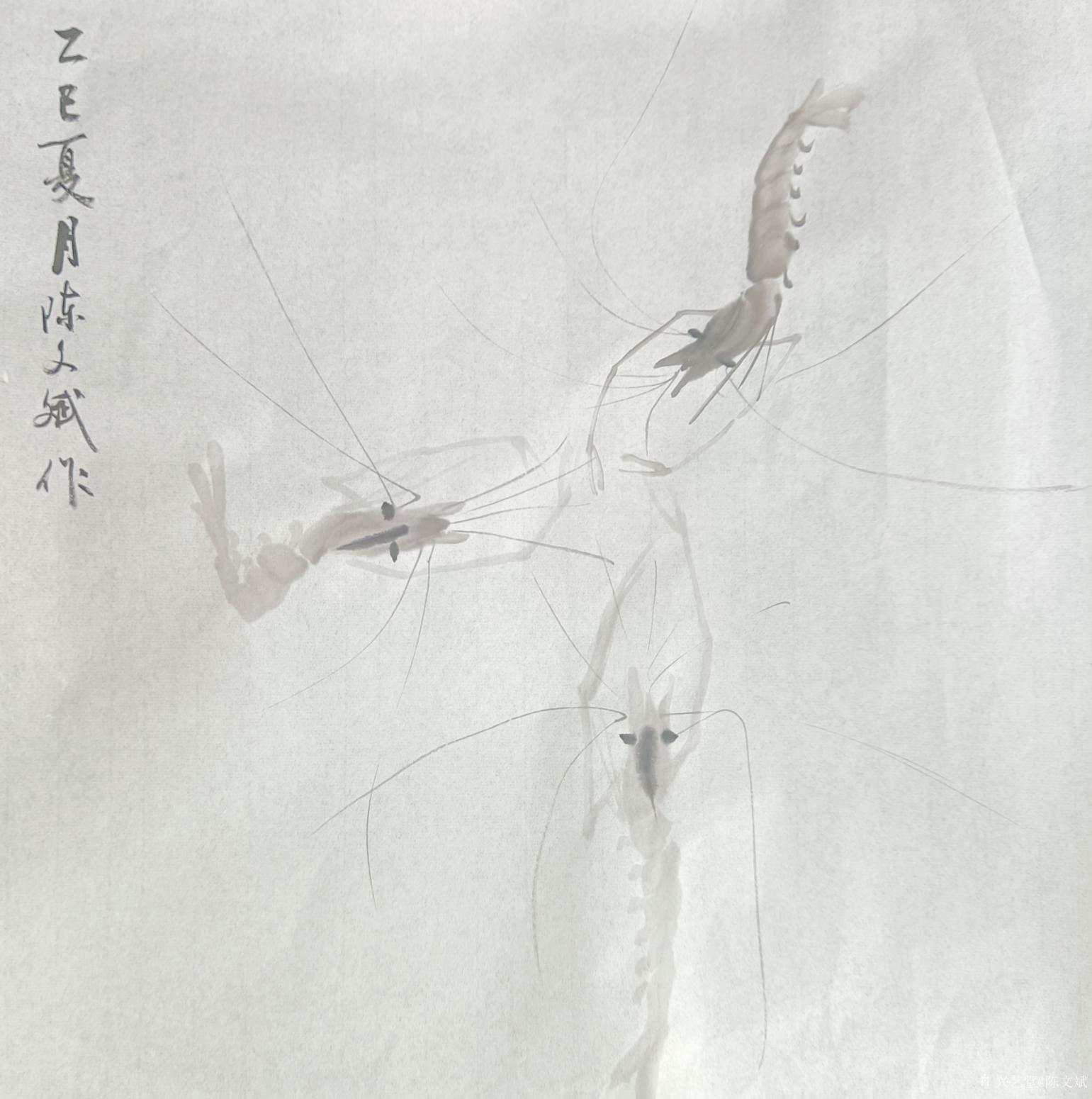 陳文斌國(guó)畫作品《蝦相會(huì)》【圖0】