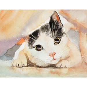 楊陽國畫作品《【喵好奇】作者楊陽》價格960.00元