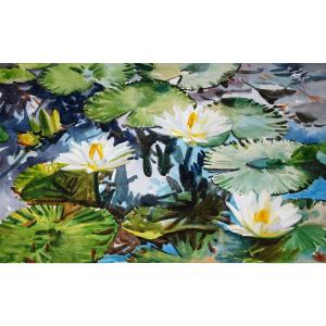 楊陽國畫作品《【睡蓮】作者楊陽》價格2400.00元