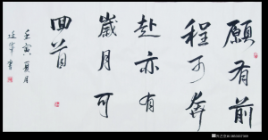 13853037369書(shū)法作品-《愿有前程可奔赴》
