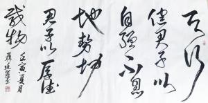 13853037369書(shū)法作品-《易經(jīng)句天行健》