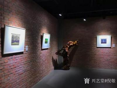 倪敬日記-2017四川成都香迪紅館倪敬水彩畫作品展
 “我第一眼在展會(huì)上觀看倪敬的繪畫就【圖1】