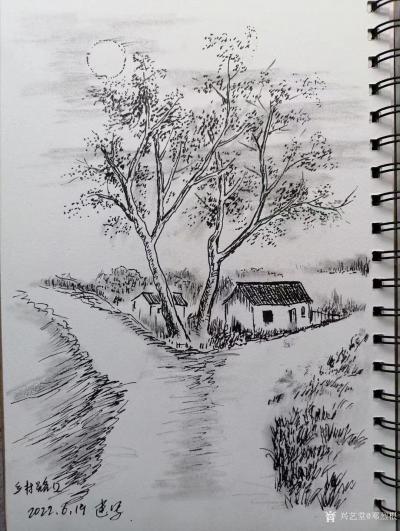 鄧烈根日記-鄉(xiāng)村外景速寫作品《老街小巷》《山村老屋》《鄉(xiāng)村路口》《蓮潔和暢》《山村風(fēng)情》《家【圖3】